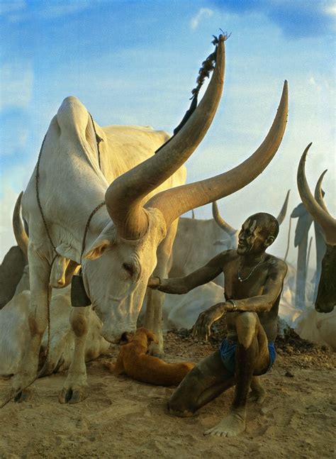 The Dinka People Of South Sudan — Gems Development Foundation