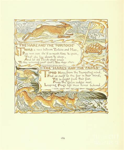 The Hare and the Tortoise baby's own Aesop u2 Painting by Historic ...