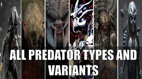 All Predator Types And Variants Throughout History Movies Games And