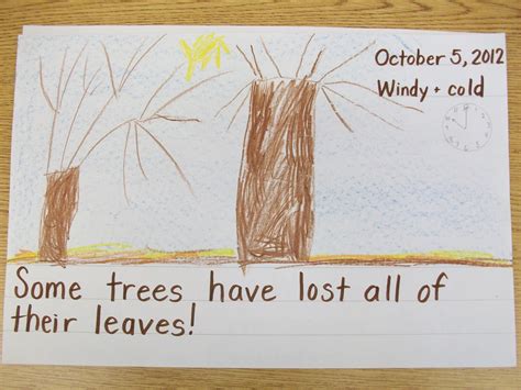 A Year in Kindergarten: Nature Observation Journal