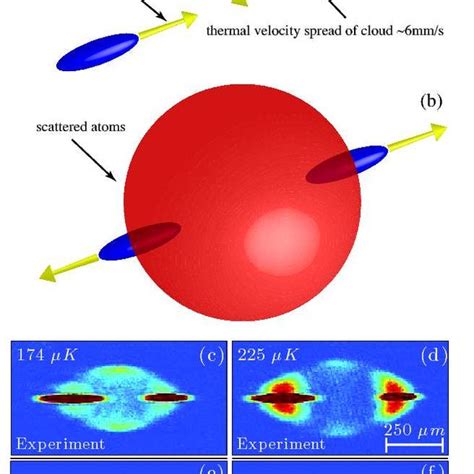 Color Online Ultra Cold Atom Collider A Schematic Of The