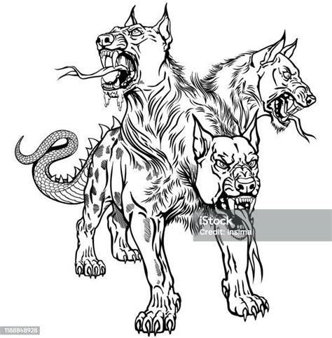 Cerberus Hellhound Black And White Tattoo Stock Illustration Download