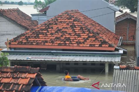 Banjir Rendam Ribuan Rumah Di Demak Antara News