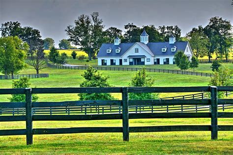 Woodford County Ky Horse Farm Photograph By Paul Lindner Fine Art America
