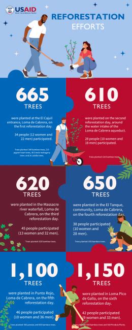 Reforestation Efforts By Usaid In The Dominican Republic Latin America And The Caribbean Us