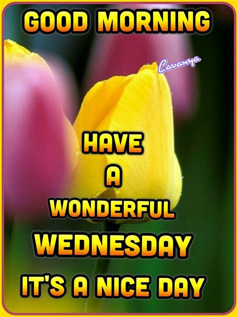 Good Morning Have A Wonderful Wednesday Its A Nice Day Good Morning Quotes Good Morning