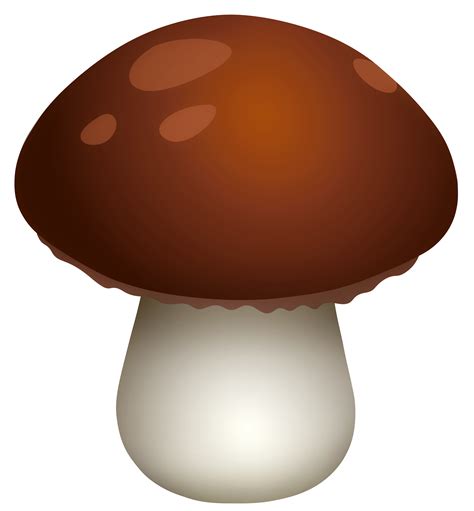 Mushroom Clipart Chopped Mushrooms Edible Mushroom Oyster Mushroom