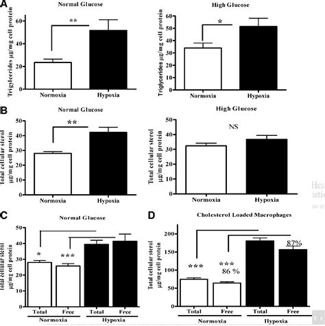 Figure From Hypoxia Is Present In Murine Atherosclerotic Plaques And