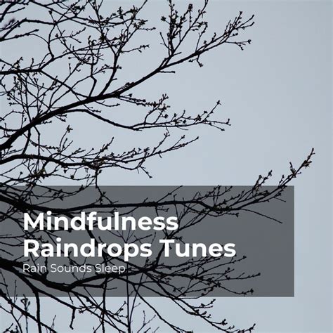 Mindfulness Raindrops Tunes Album By Rain Sounds Sleep Spotify