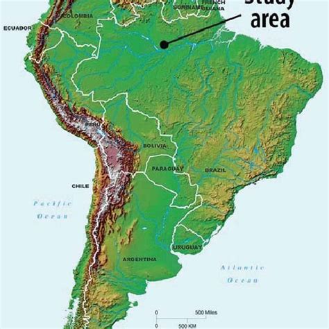 South America Arrow Points To Location Of Reserva Ducke Just To The Download Scientific