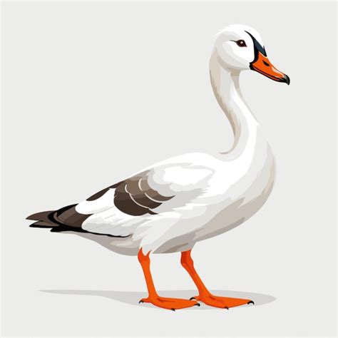 Premium Vector Goose Vector On White Background