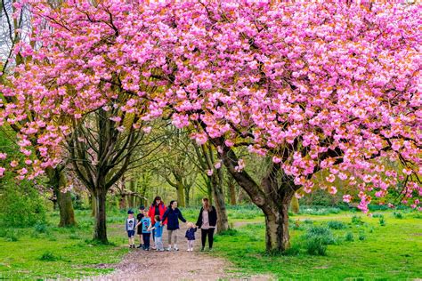 In Pictures Wonderful Worden Park In Leyland Lancslive