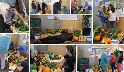 Welcoming Cambridge Cyrenians Community Allotment Project