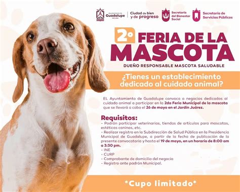 Convoca Guadalupe A Segunda Feria De La Mascota Peri Dico Mirador