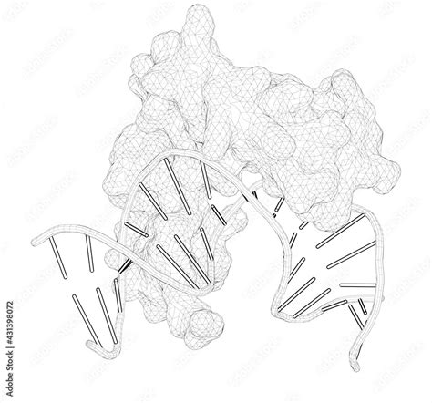 D Rendering As A Line Drawing Of A Biological Molecule The Crystal