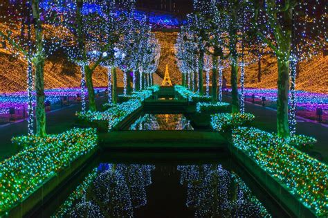 埼玉県最大！「西武園ゆうえんち」のイルミネーションは350万球の大絶景！ 埼玉県 トラベルjp 旅行ガイド