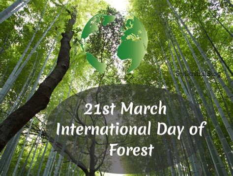 International Day Of Forests 21st March 2023 Theme Forests And Health