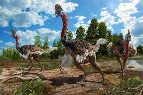 Dinosauro Con La Cresta Lincredibile Scoperta Nella Cina Meridionale