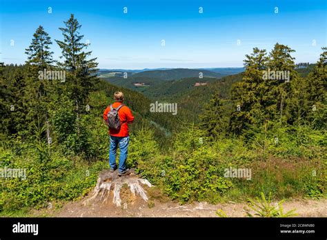 Hiking In Sauerland On The Rothaarsteig A Long Distance Hiking Trail