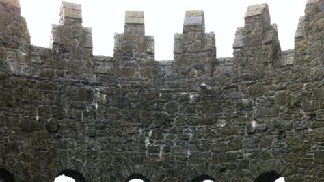 Visitors Flock To Nenagh Castle Nenagh Guardian