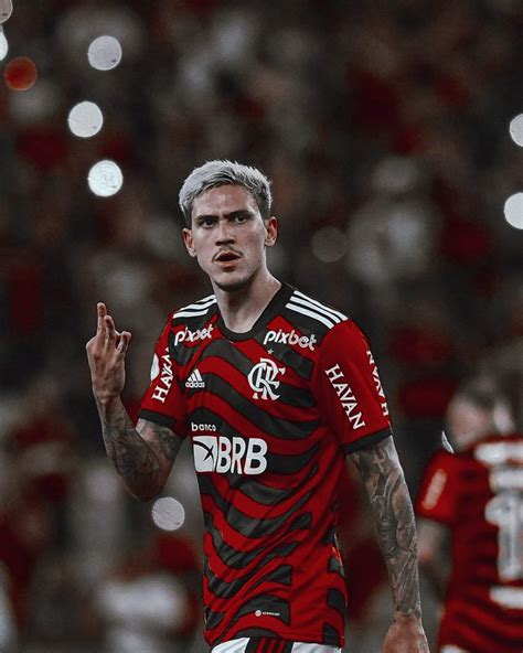 Pedro Guilherme Wiki Clube De Regatas Do Flamengo Amino