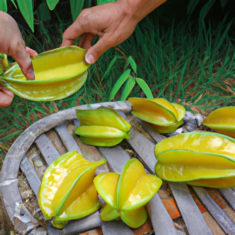 How To Cut And Eat Star Fruit Lizard S Knowledge Mind Discovering