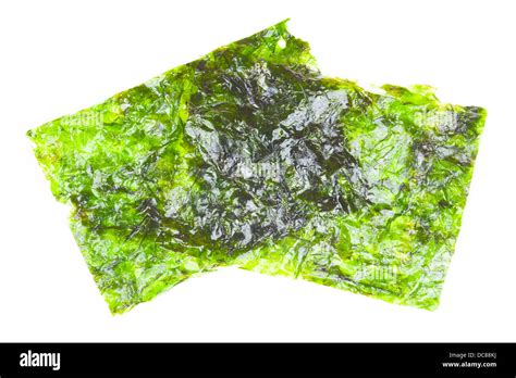 Ulva lactuca hi-res stock photography and images - Alamy