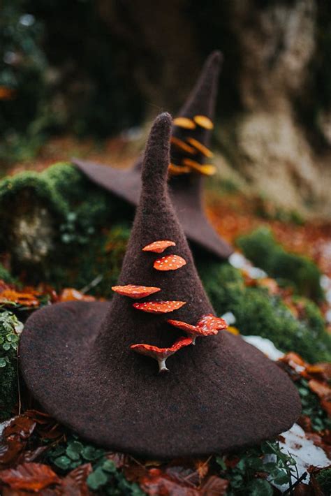 Witch Hat With Mushrooms Forest Wizard Hat Felted Hat Wool Halloween