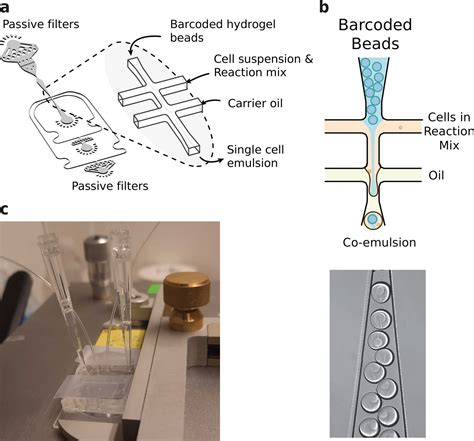 Hydrop Enables Droplet Based Single Cell Atac Seq And Single Cell Rna Seq Using Dissolvable