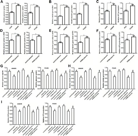 Metformin Hampered The Glucose Metabolism Of Carboplatin Resistant