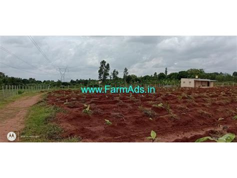 Agriculture Land 1 4 Acres For Sale At Hadripur Village Doddaballapur