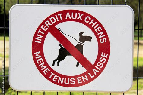 sécurité peindre de panneau interdit au chien a imprimer Ambiguïté