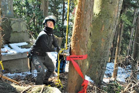 いざ！ 特殊伐採《アーバンフォレストリー》最新ロープワークを駆使、都市型森林管理を請け負う フォレストジャーナル