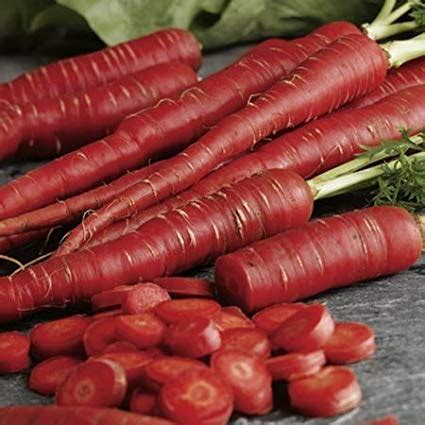 Creative Farmer Vegetable Seeds Carrot Red Long Seeds Carrot Red