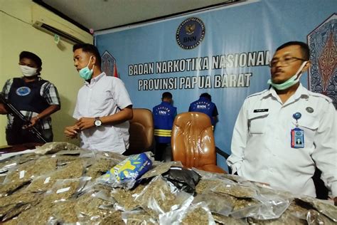 Bnn Papua Barat Gagalkan Penyelundupan Kilogram Ganja Antara News