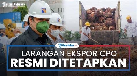 Larangan Ekspor Cpo Dan Turunannya Resmi Ditetapkan Pemerintah Akan