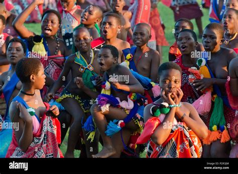 Swazi Mädchen Parade In Umhlanga Reed Dance Festival Swasiland