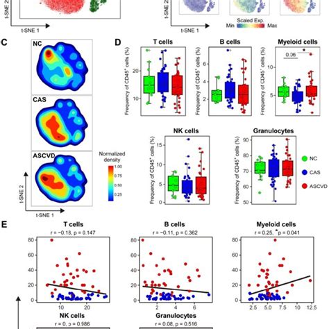 Immune Landscapes Of Peripheral Cd Cells A And B T Sne Plots Of