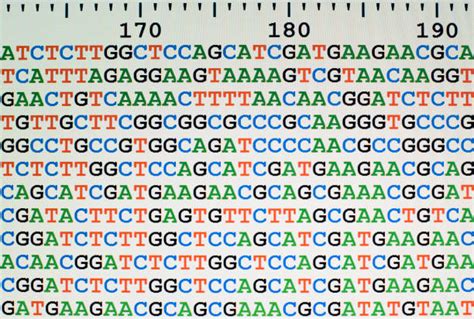 Dna Code Letters Stock Photos Pictures And Royalty Free Images Istock