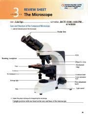 Lab Manuel Week Pdf Exercise Review Sheet The Microscope Name Lab