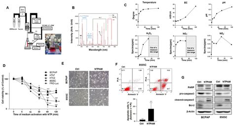 Apoptotic Effects Of Nonthermal Plasma Activated Medium Ntpam On