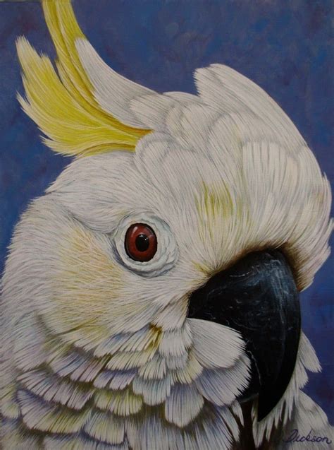 Cockatoo Portrait Limited Edition Giclee Print X Cm In