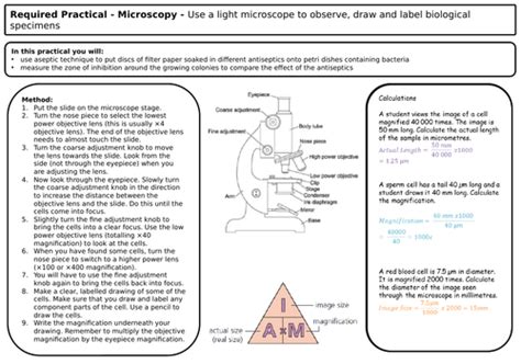 Pin On Gcse Biology Revision