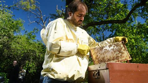 Kinderuni Wer Macht Was Im Bienenstaat