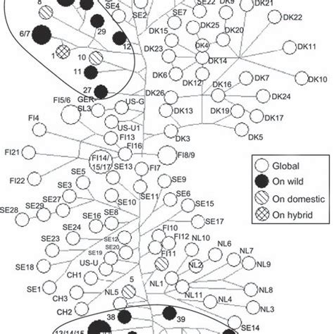 Geographic Distribution Of Aleutian Mink Disease Virus Ns And V