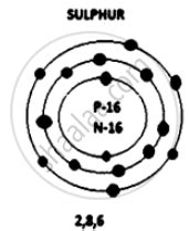 Draw The Structure Of Oxygen And Sulphur Atoms Science Shaalaa