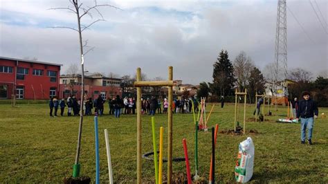 Festa Dell Albero Alla Lambruschini Nuove Piantumazioni Con Legambiente