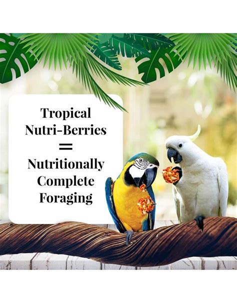 Lafeber Company Tropical Fruit Nutriberries For Macaws Lbs Noah S Ark