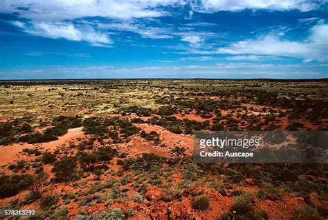 Great Victoria Desert Australia Photos And Premium High Res Pictures