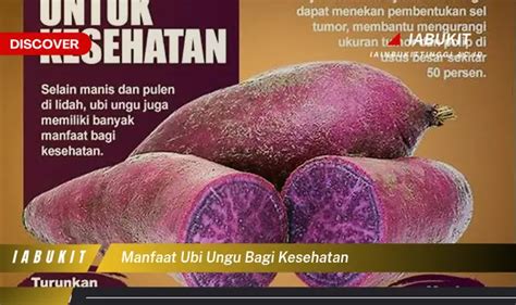 Temukan 7 Manfaat Ubi Ungu Bagi Kesehatan Yang Jarang Diketahui Discover